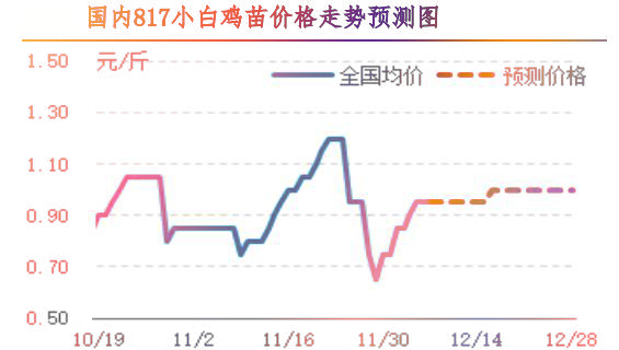 肉鸡价格行情网